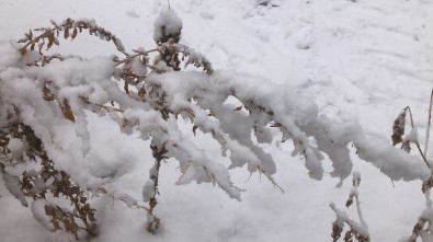 Kars'ta Yoğun Kar Yağışı
