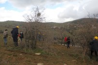 Yabani Ahlat Ağaçları, Aşılanarak Üretime Değer Katacak Haberi