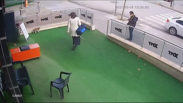 Vicdansız kadın! Hamile kediye vurdu! Çanta fırlattı