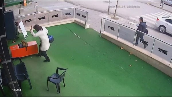 Vicdansız kadın! Hamile kediye vurdu! Çanta fırlattı