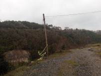 17 Saattir Kayıp Olan Adamın Cesedi Ağaca Asılı Halde Bulundu