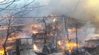 Artvin'in Yusufeli İlçesi Dereiçi Köyünde Yangın Sürüyor Haberi