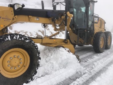 Aydın'da Karla Mücadele Çalışmaları Devam Ediyor