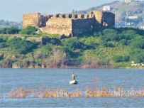 Azap Gölü'nde, Ekoturizm İçin Harekete Geçildi