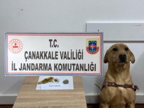 Çanakkale'de Uyuşturucu Operasyonu Açıklaması 5 Gözaltı