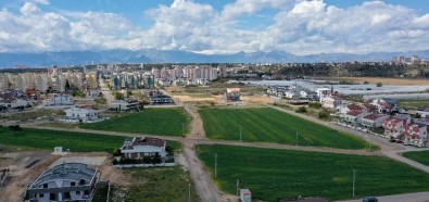 Muratpaşa'da 20 Bin Kilogram Buğday Hasat Edilecek