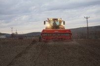 Nohut Çeşit Deneme Ekimi Yapıldı