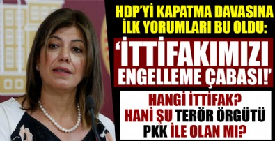 Parti kapatma davasına HDP'lilerden ilk yorum!