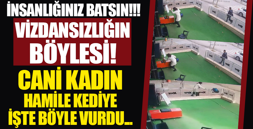 Vicdansız kadın! Hamile kediye vurdu! Çanta fırlattı