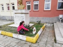 YİBO Öğrencileri Sahiplendikleri Sokak Köpeğine Okul Bahçesinde Bakacaklar Haberi