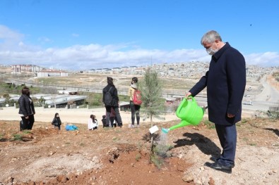 Şehitlerin İsmi Şahinbey'de Fidanlarda Yaşayacak