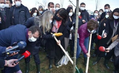 Gazi yakınından İmamoğlu'na sert tepki! 'Burası Buldan ile ağaç diktiğin park değil'