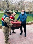 Diyarbakır'da Mehmetçik Yaralı Atmacaya Kol Kanat Oldu Haberi