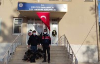 Kızıltepe'de Kümes Hırsızları, 27 Kamera Takibe Alınarak Yakalandı Haberi