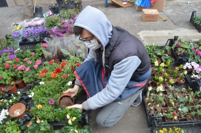 Pandemide Semt Pazarındaki Çiçekçilerin Sayısı Arttı, Fiyatlar İse Düştü