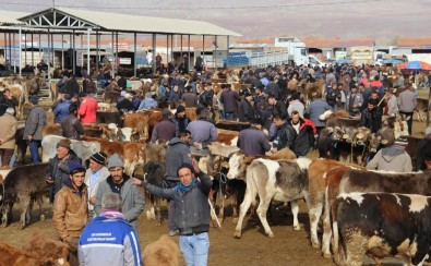 Türkiye'nin En Büyüğü, Kapatıldı