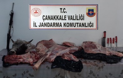 Çanakkale'de Tüfekle Vurdukları Hayvanı Çalan Şahıslara Suçüstü