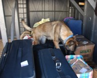 Şüpheli Otobüs Ve Yolcular Didik Didik Arandı