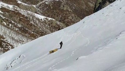 Bingöl'de Ekipler Karlı Dağlara Yaban Hayvanları İçin 36 Ton Yem Bıraktı