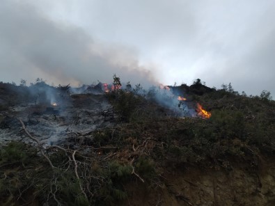 Bucak'ta Ormanlık Alanda Yangın Kısa Sürede Söndürüldü