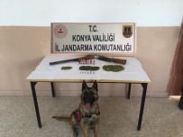 Jandarma'dan Uyuşturucu Operasyonu Haberi