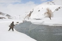 Şırnak'ta Donan Dere Yatakları Çözülünce Vatandaşlar Buz Gibi Suda Balık Avına Çıktı