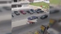 Lübnan'da Başıboş At Otomobile Çarptı