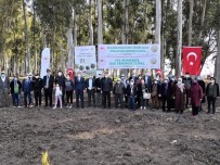 Yaşlılar Haftası'nda Tarsus'ta Ağaç Dikildi Haberi