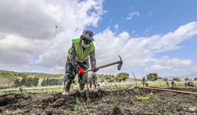 Buca'da Ormanlık Alana İzmirliler Adına 500 Fidan Dikildi