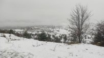 Kastamonu'da Kar Yağışı Etkili Oluyor