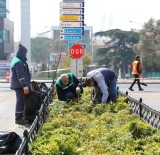 Körfez'in Yeşiline Binlerce Fidanlık Katkı