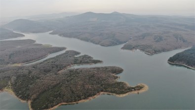 Ömerli Barajı'nda Doluluk Oranı Rekor Seviyeye Ulaştı