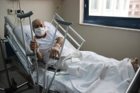 (Özel) Erik Ağacından Düştü Hayatı Değişti