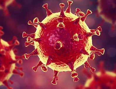 3 yeni koronavirüs türü tespit edildi!