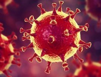 3 yeni koronavirüs türü tespit edildi!