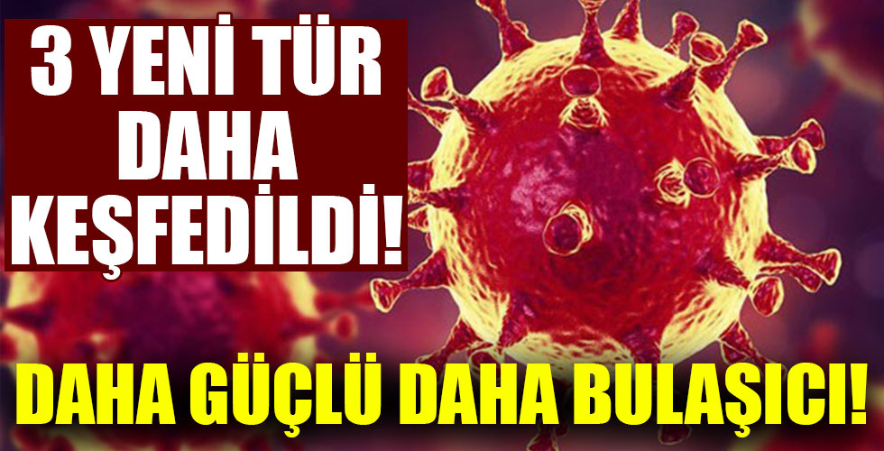 3 yeni koronavirüs türü tespit edildi!