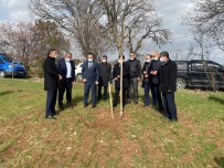 Dinar'da Deneme Amaçlı Kestane Fidanı Dikildi