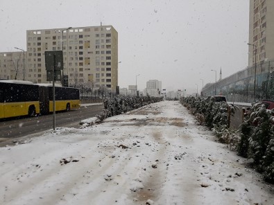 İstanbul'da Lapa Lapa Kar Yağışı