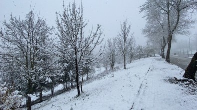 Kar Yağıyı Köy Yollarını Kapadı