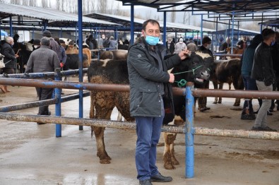 Simav'da Canlı Hayvan Pazarı Tekrar Açıldı