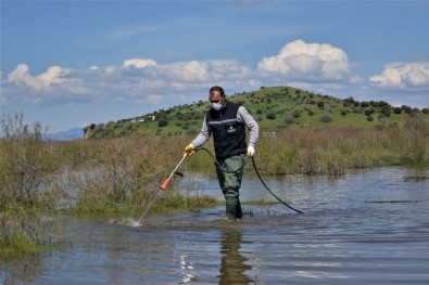 Aliağa'da Sivrisinek İle Mücadele Sürüyor