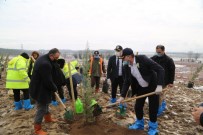 Orman Haftasında Kuzey Marmara Otoyolu'nu Yeşillendirdiler