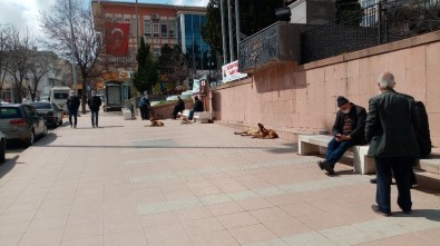 Vatandaştan İlginç Korona Virüs Yorumu Açıklaması 'Boş Ver Vakayı, Herkes Kendi Önlemini Alacak, Kalan Sağlar Bizim'
