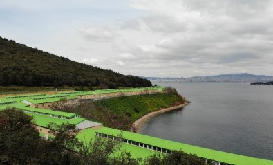 Adalar’da 100’e yakın at, İBB tarafından ahıra hapsedildi