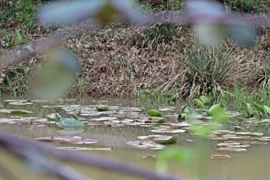 Antalya'nın Doğal Fotoğraf Stüdyosu Açıklaması Kurşunlu Şelalesi