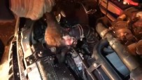 Aracın Motor Bölümüne Sıkışan Kedi Kurtarıldı Haberi