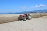Burhaniye'de Plajlar Düzenleniyor Haberi