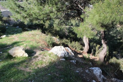 İzmir'de Ormanlık Alanda Kafatası Ve Kemik Parçaları Bulundu