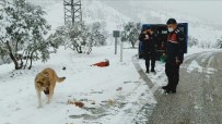 Kar Nedeniyle Yol Kapanınca Hayvanların İmdadına Jandarma Yetişti