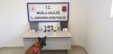 Köyceğiz'de Uyuşturucu Operasyonu